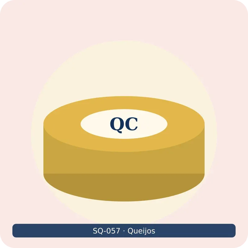 Queijo camembert peça
