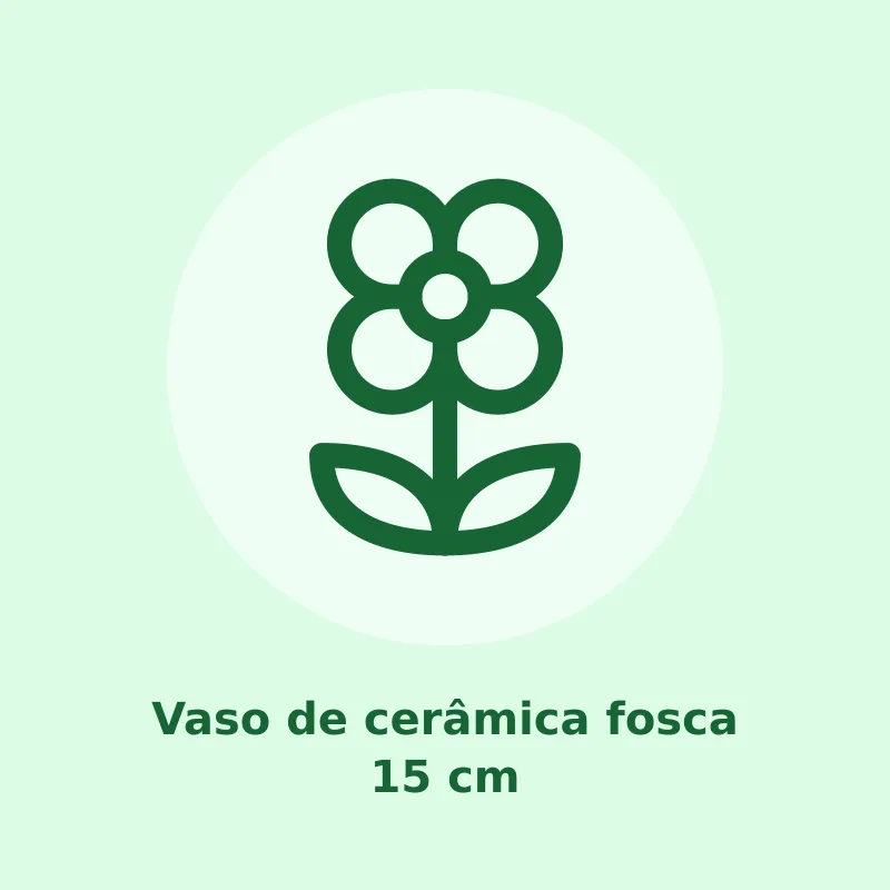 Vaso de cerâmica fosca 15 cm